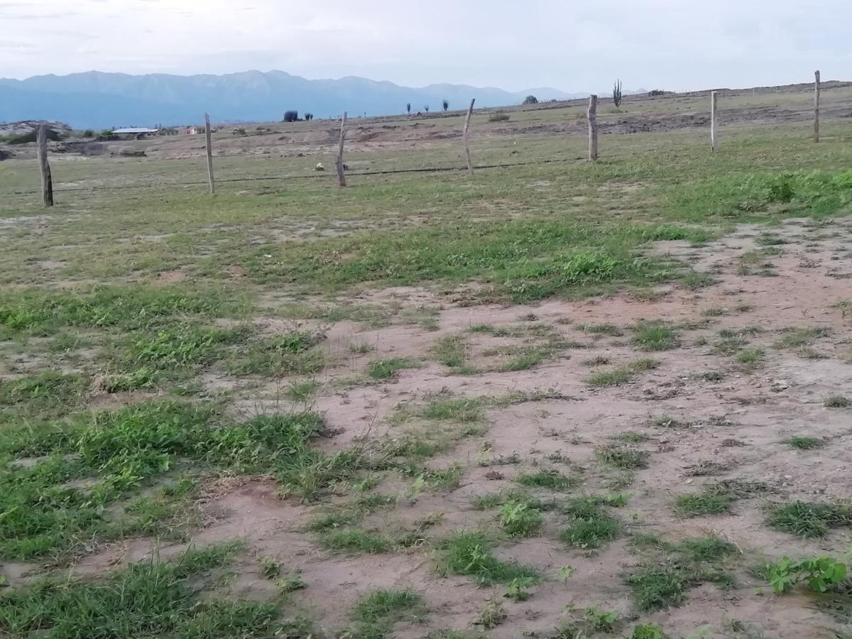 Pachingo La Primavera Villavieja Zewnętrze zdjęcie