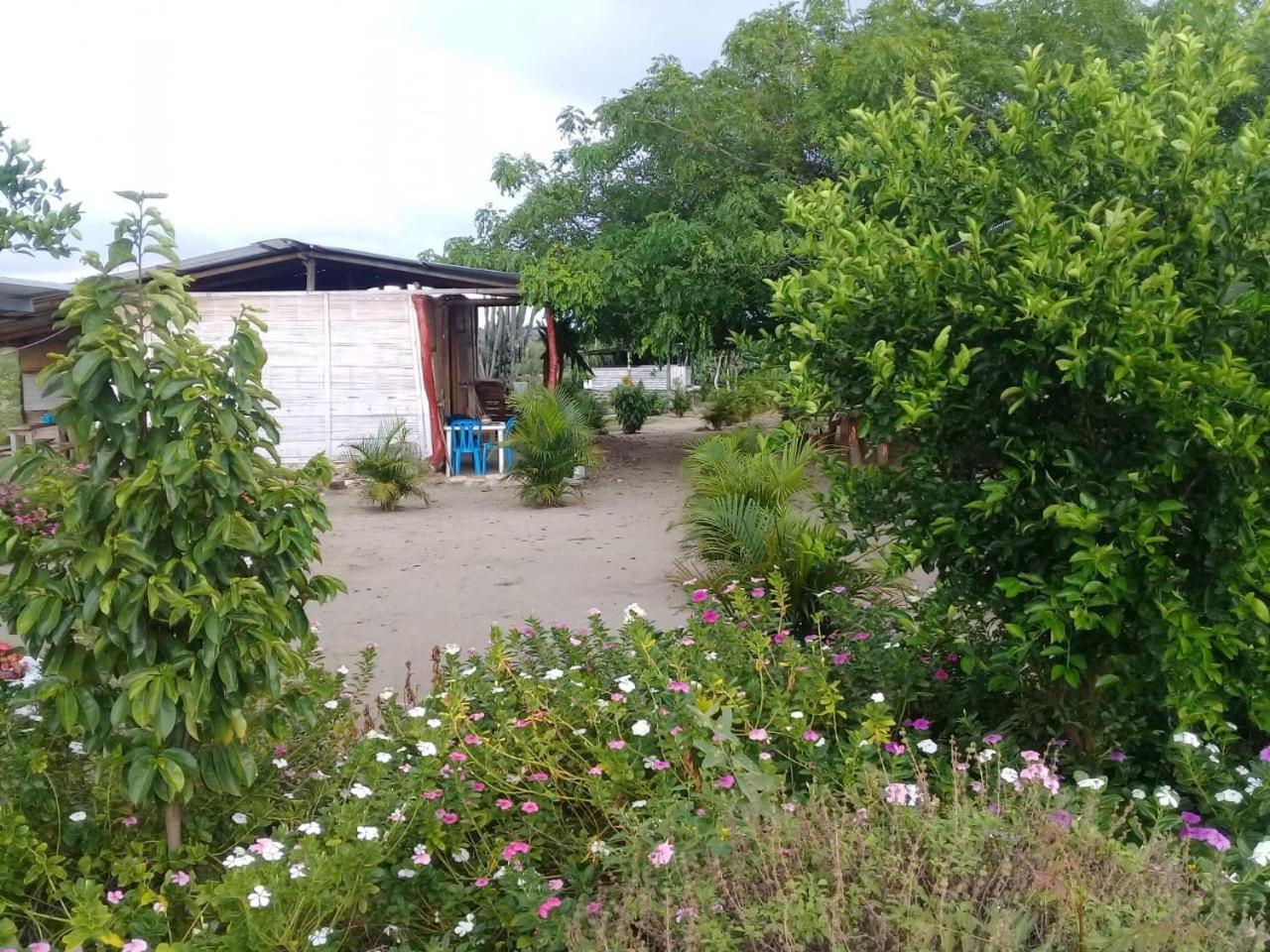 Pachingo La Primavera Villavieja Pokój zdjęcie